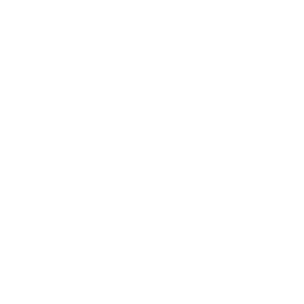 Version du logo de Primo conciergerie, en blanc sans fond en version responsive pour l'adaptation aux smartphones
