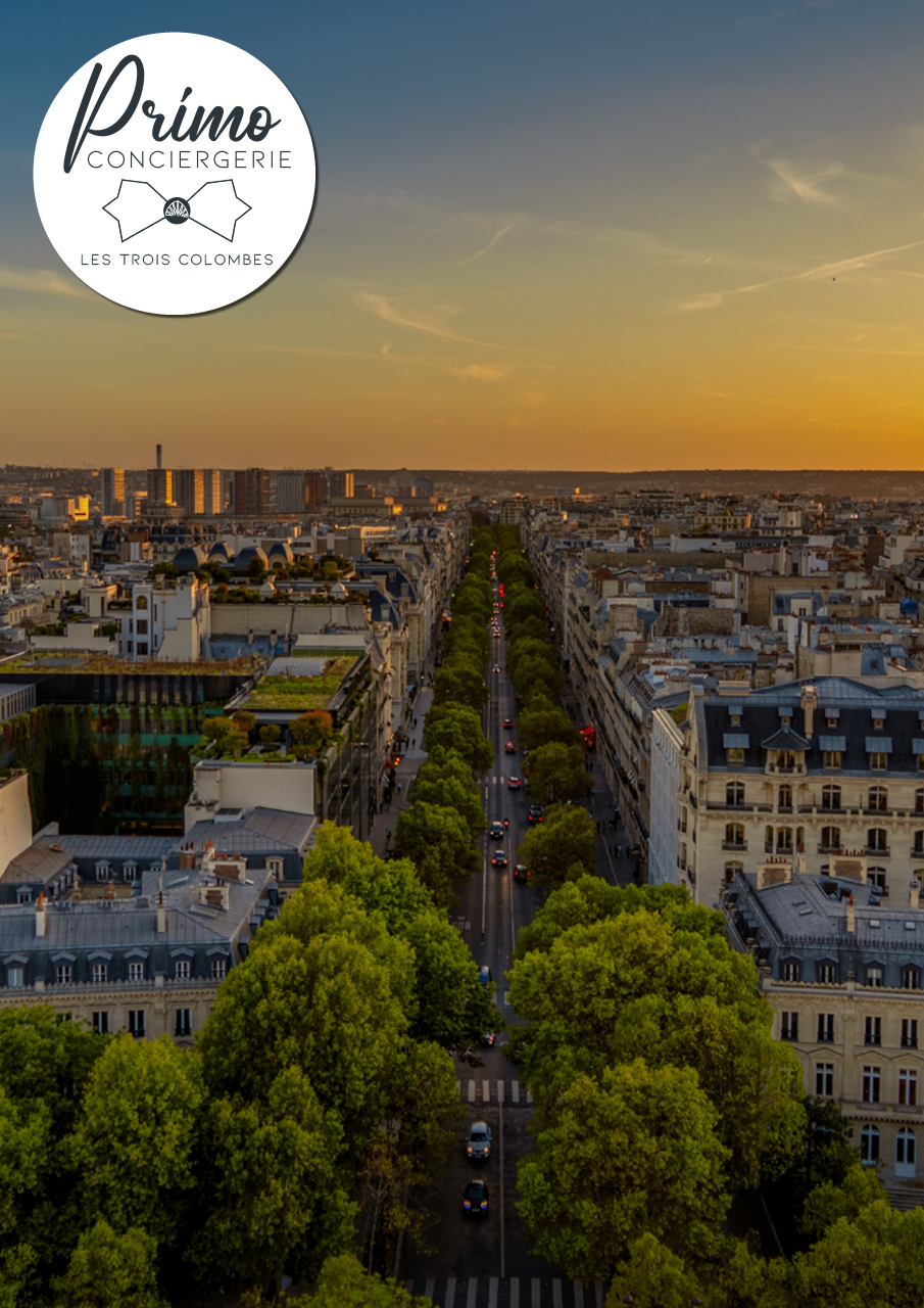 Vue aérienne d'une avenue bordée d'arbres à Colombes au coucher du soleil.