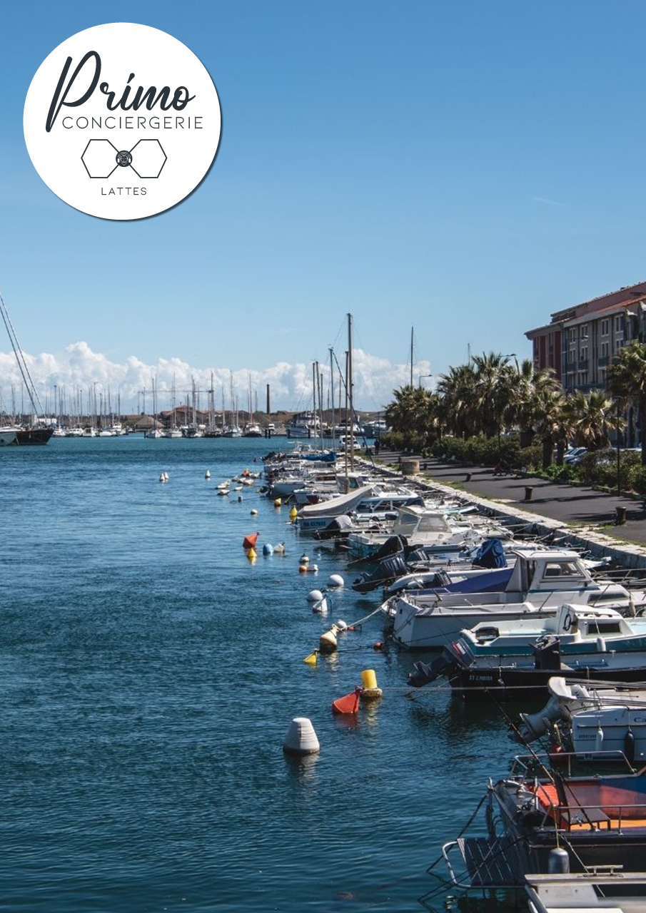 Port de plaisance à Lattes, avec des bateaux amarrés.