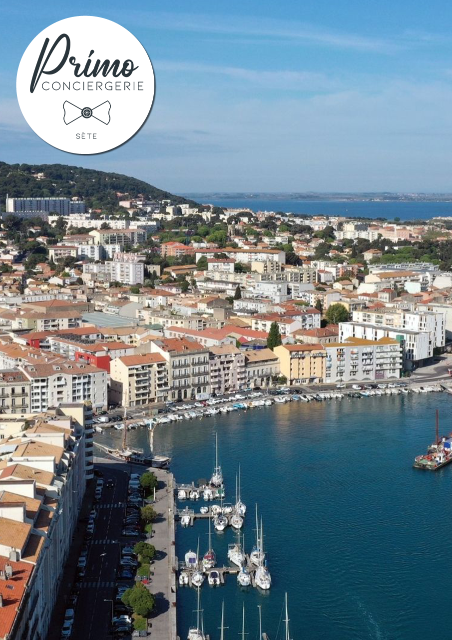 Vue aérienne du port de Sète, entouré de bâtiments et de collines.