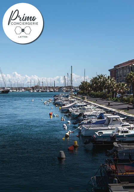 Port de plaisance à Lattes, avec des bateaux amarrés.