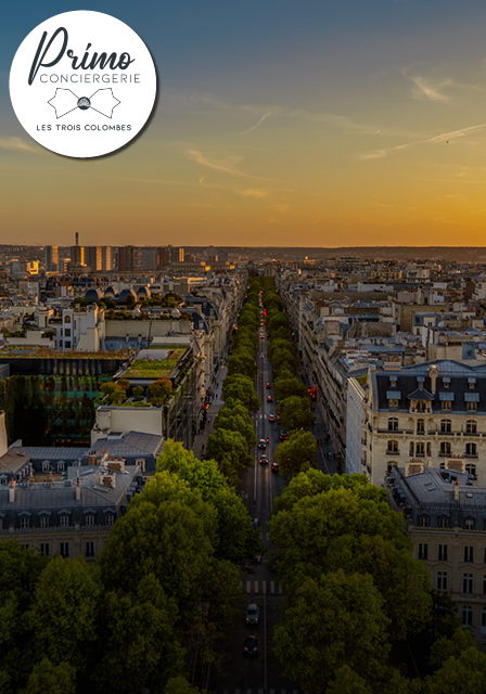 Vue aérienne d'une avenue bordée d'arbres à Colombes au coucher du soleil.