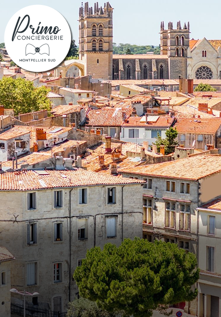 Vue sur les toits de Montpellier avec la cathédrale en arrière-plan.