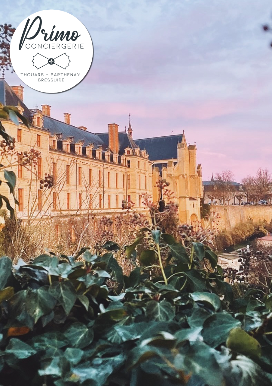 Château médiéval de Thouars au coucher du soleil, vue à travers le feuillage.